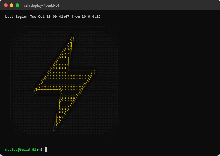 A terminal window after an SSH login, showing a yellow lightning bolt logo drawn in ANSI color characters
